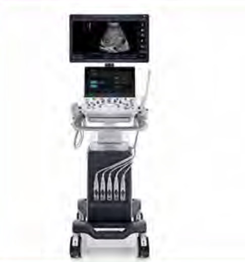 Digital Color Doppler Ultrasound System