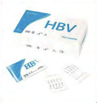 HBV (Serum or WB)